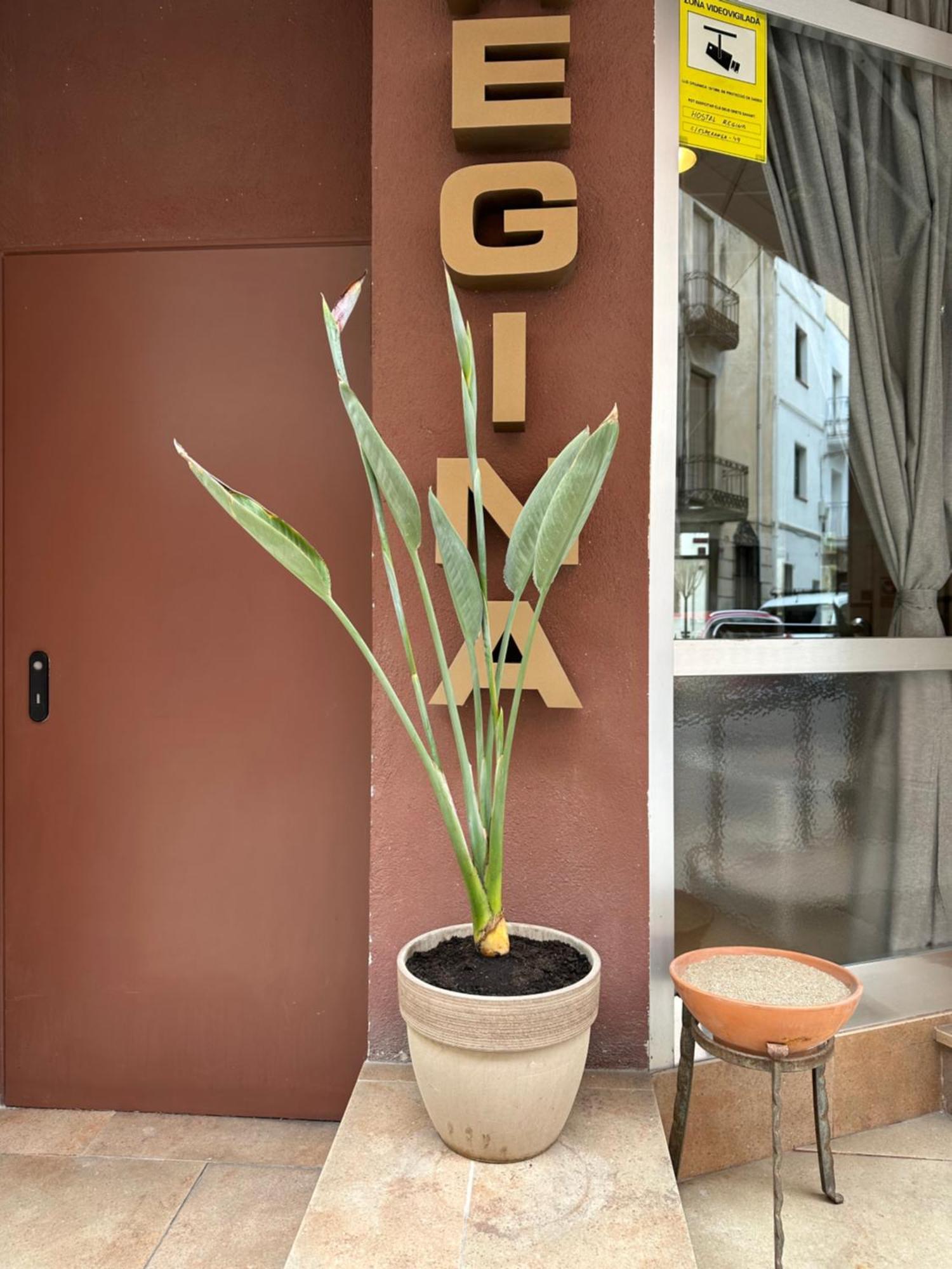 Hostal Regina Blanes Extérieur photo